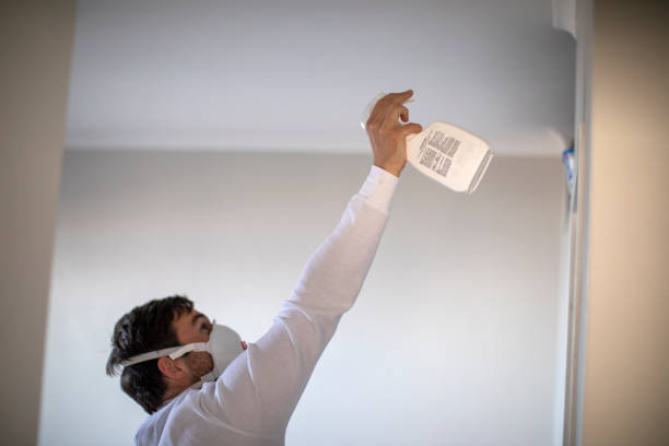 Best Mold Cleaning Services  in Belmont, WI