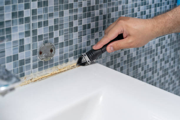 Best Certified Mold Removal  in Belmont, WI