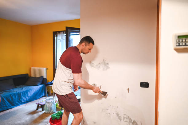 Best Mold Damage Repair  in Belmont, WI
